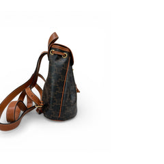 Celine Mini Folco Backpack Triomphe Canvas/Calfskin Tan