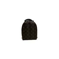 Louis Vuitton Mini Palm Springs Backpack Monogram