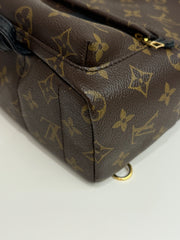 Louis Vuitton Mini Palm Springs Backpack Monogram