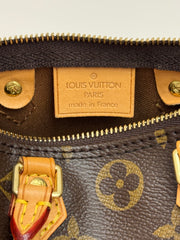 Louis Vuitton Nano Speedy Monogram (Old Version)