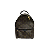 Louis Vuitton Palm Spring Backpack MM Monogram