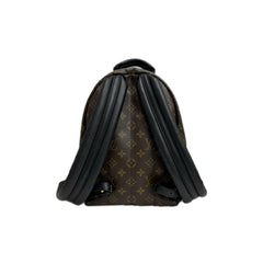 Louis Vuitton Palm Spring Backpack MM Monogram