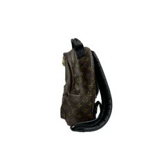Louis Vuitton Palm Spring Backpack MM Monogram