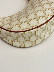 Celine Ava Bag in Triomphe Canvas and Calfskin