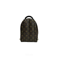 Louis Vuitton Mini Palm Springs Backpack World Tour Monogram