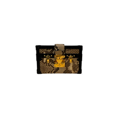 Louis Vuitton Petite Malle Python