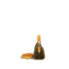 Louis Vuitton Nano Speedy Monogram