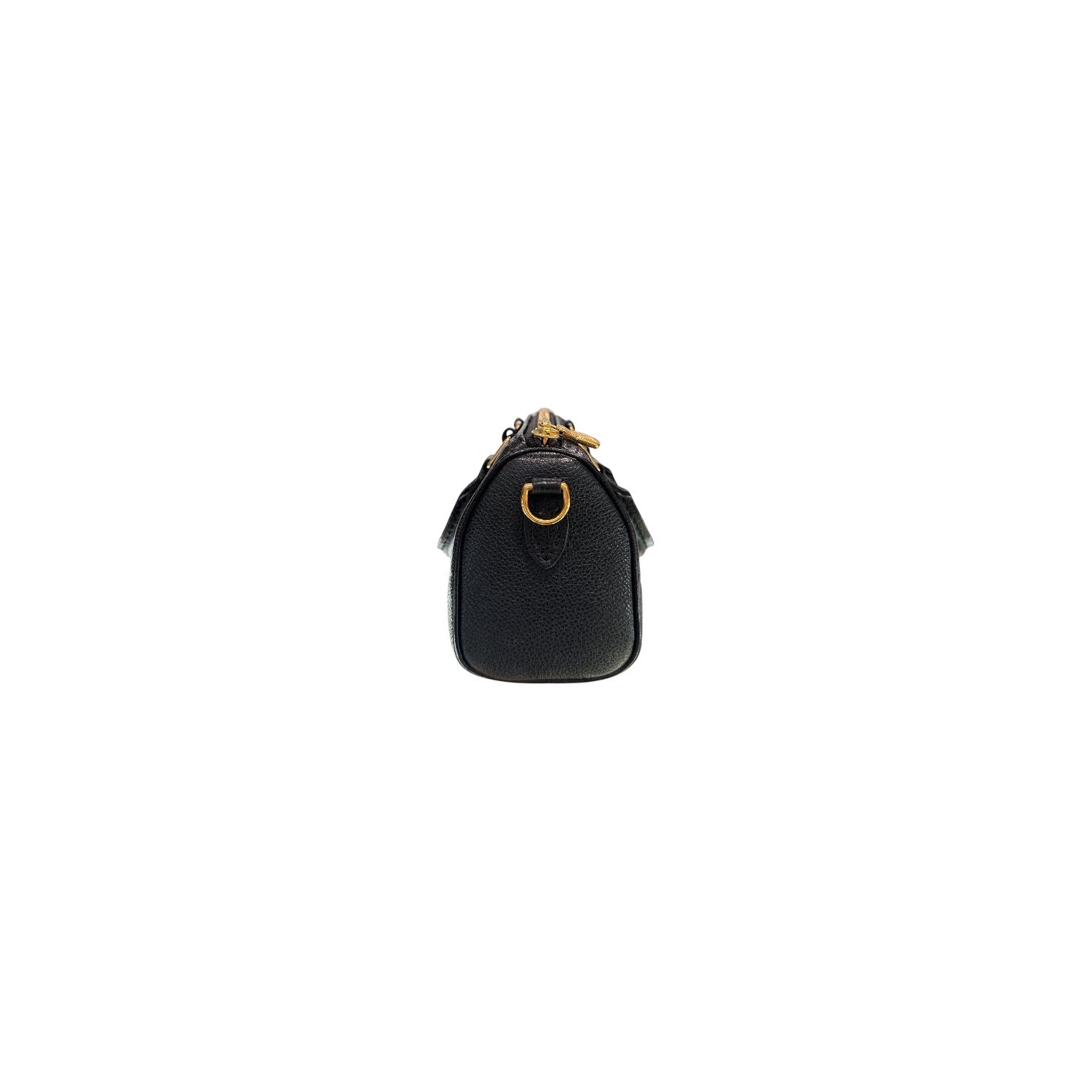 Louis Vuitton Nano Speedy Bandouliere Bicolour Monogram