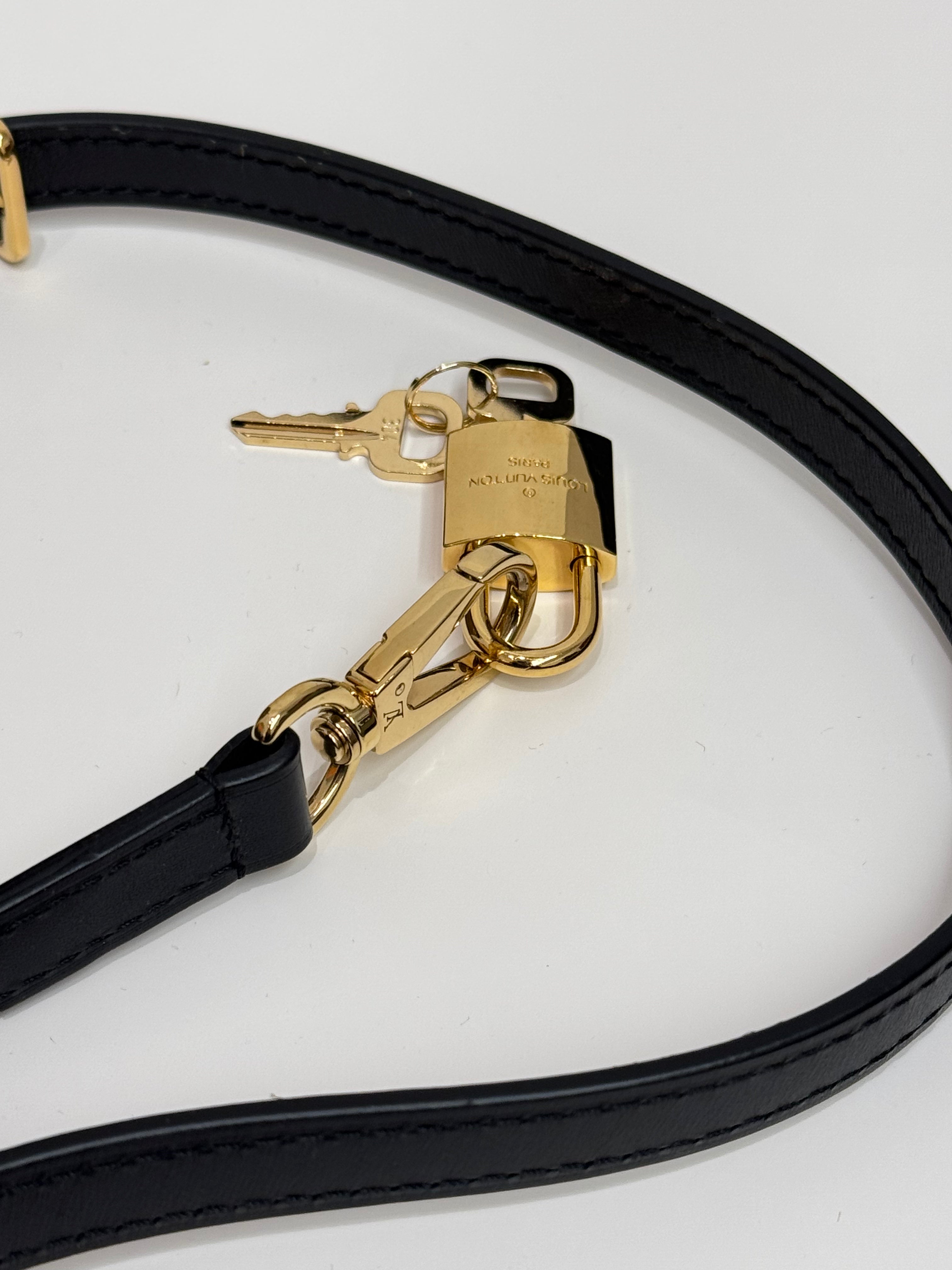 Louis Vuitton Monogram Cannes Reverse Monogram