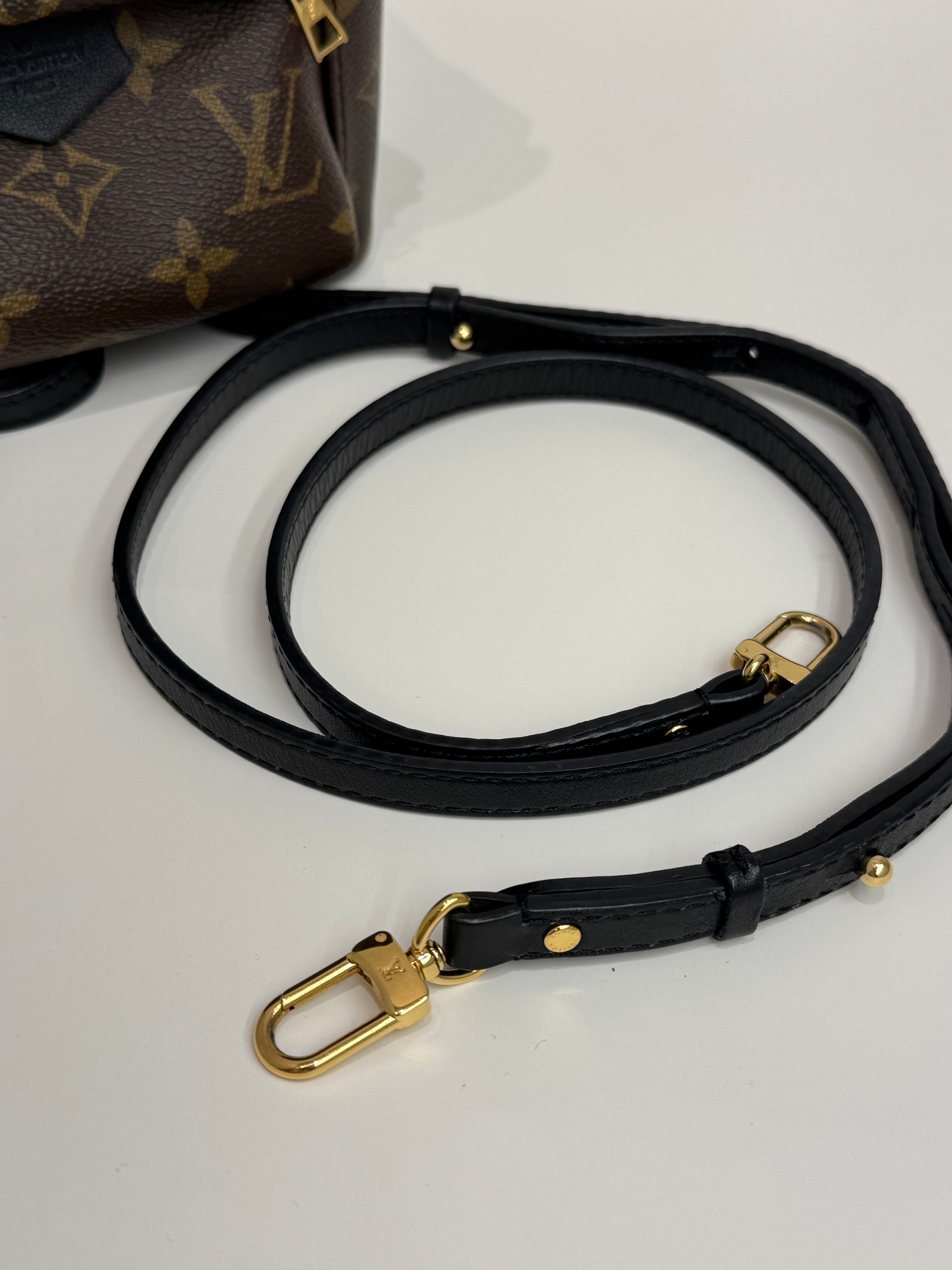 Louis Vuitton Mini Palm Springs Backpack Monogram
