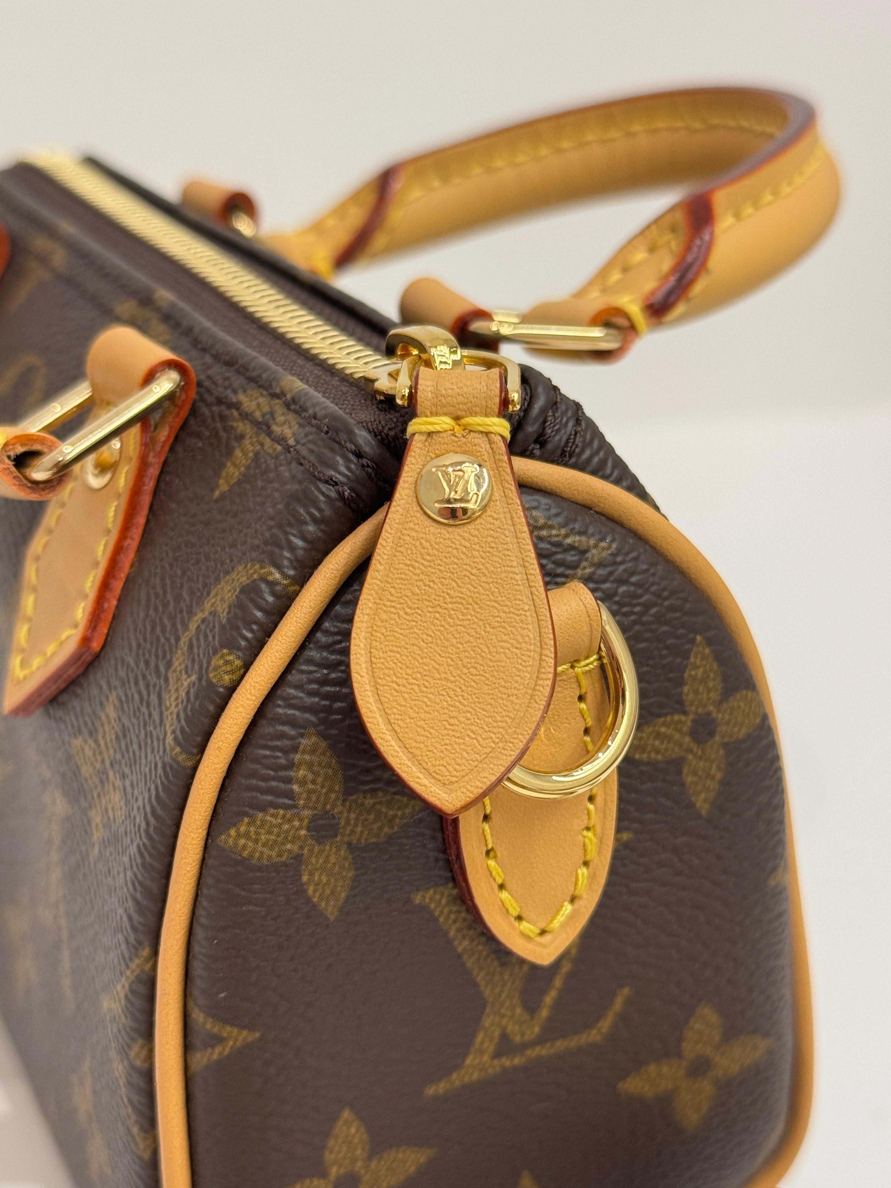 Louis Vuitton Nano Speedy Monogram