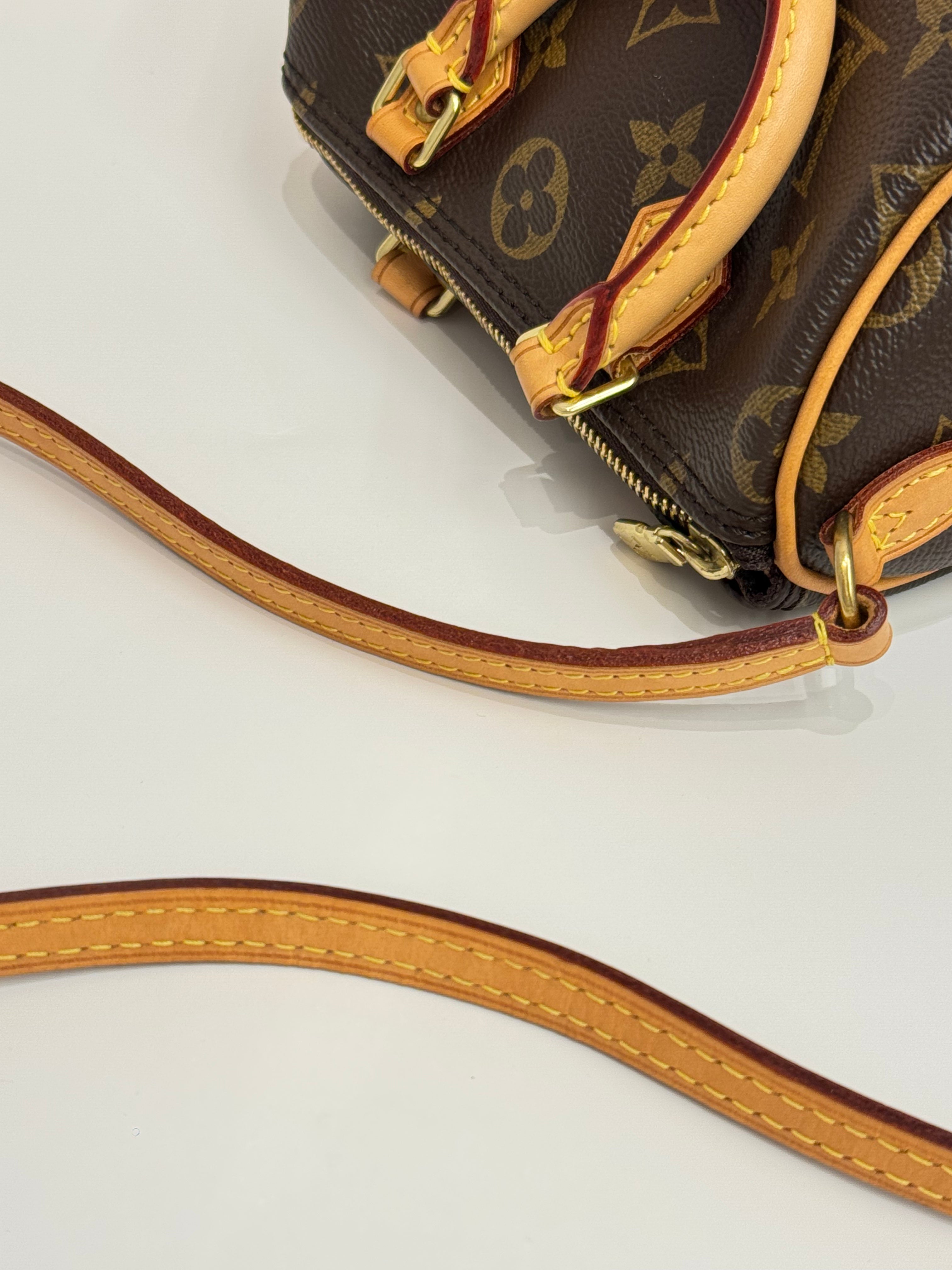 Louis Vuitton Nano Speedy Monogram (Old Version)