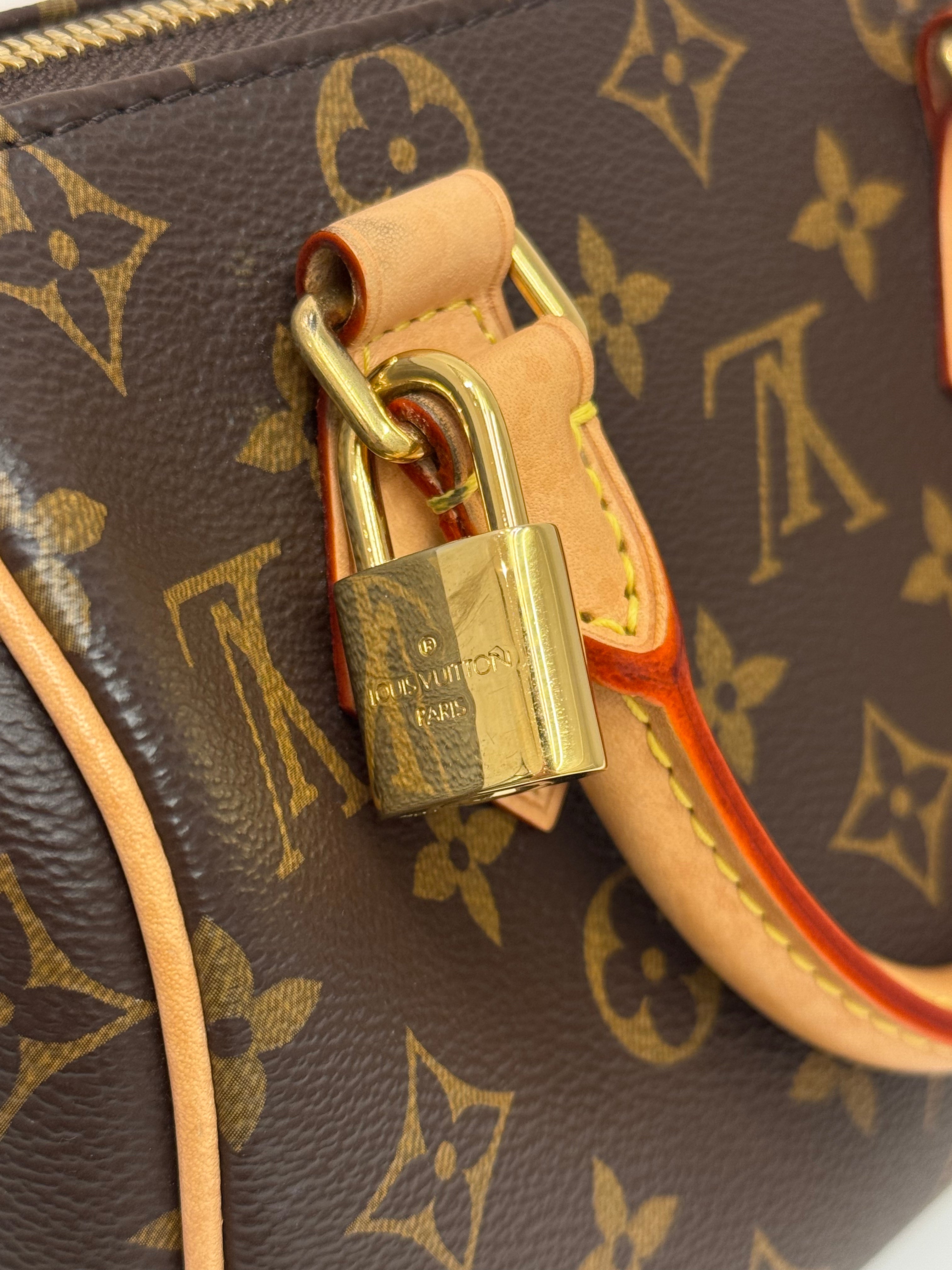 Louis Vuitton Speedy Bandoulière 20 Monogram