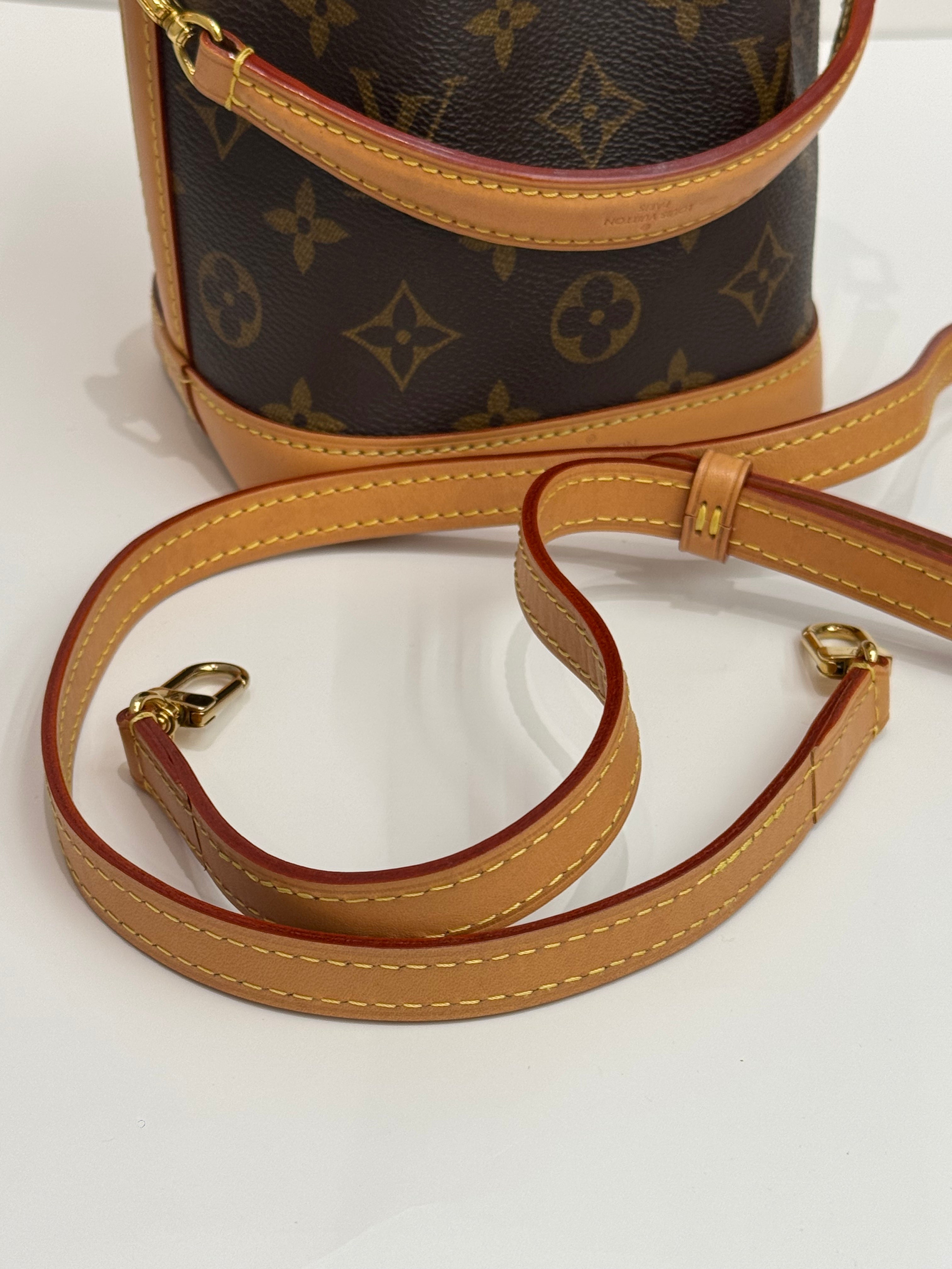 Louis Vuitton Nano Noé Monogram