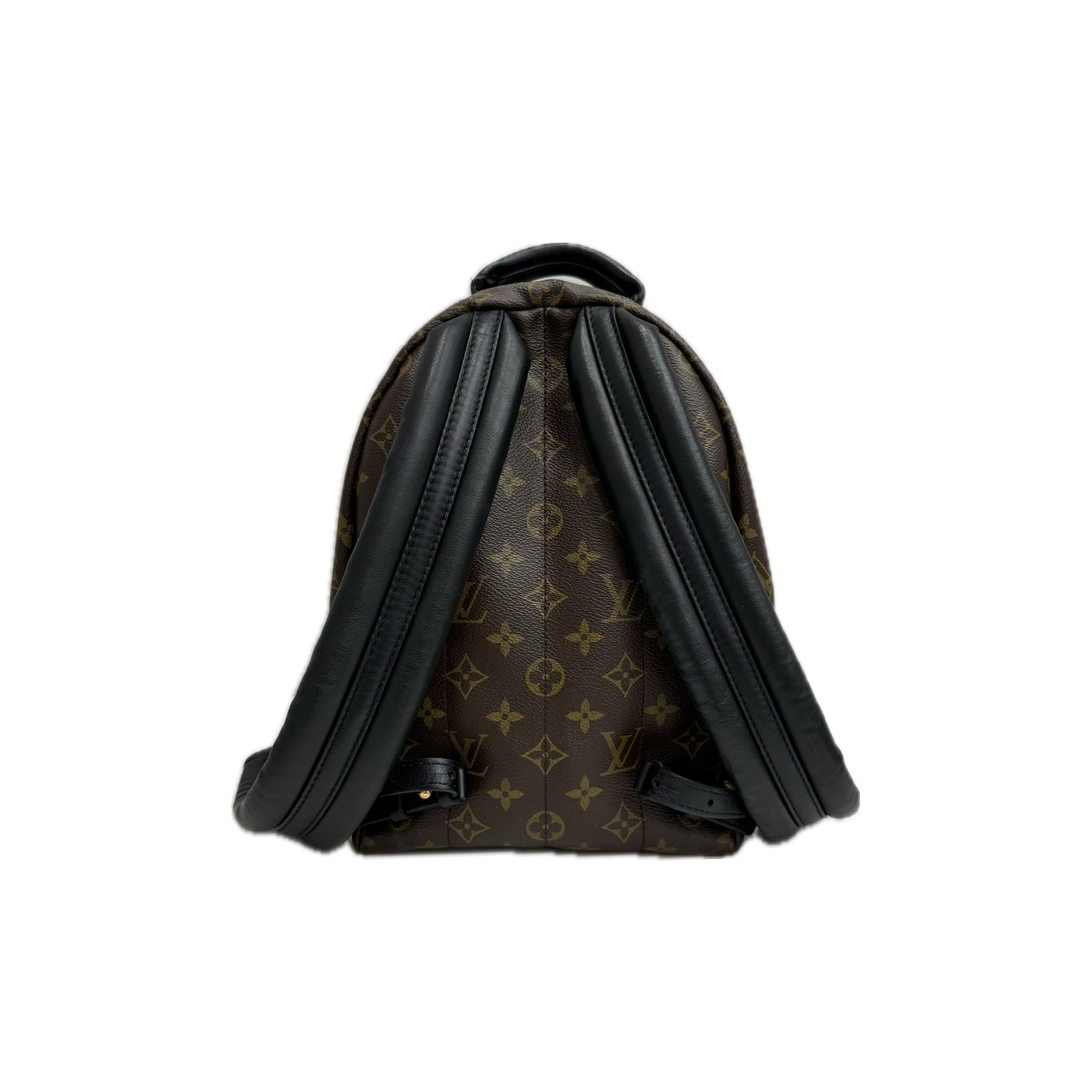 Louis Vuitton Palm Spring Backpack MM Monogram
