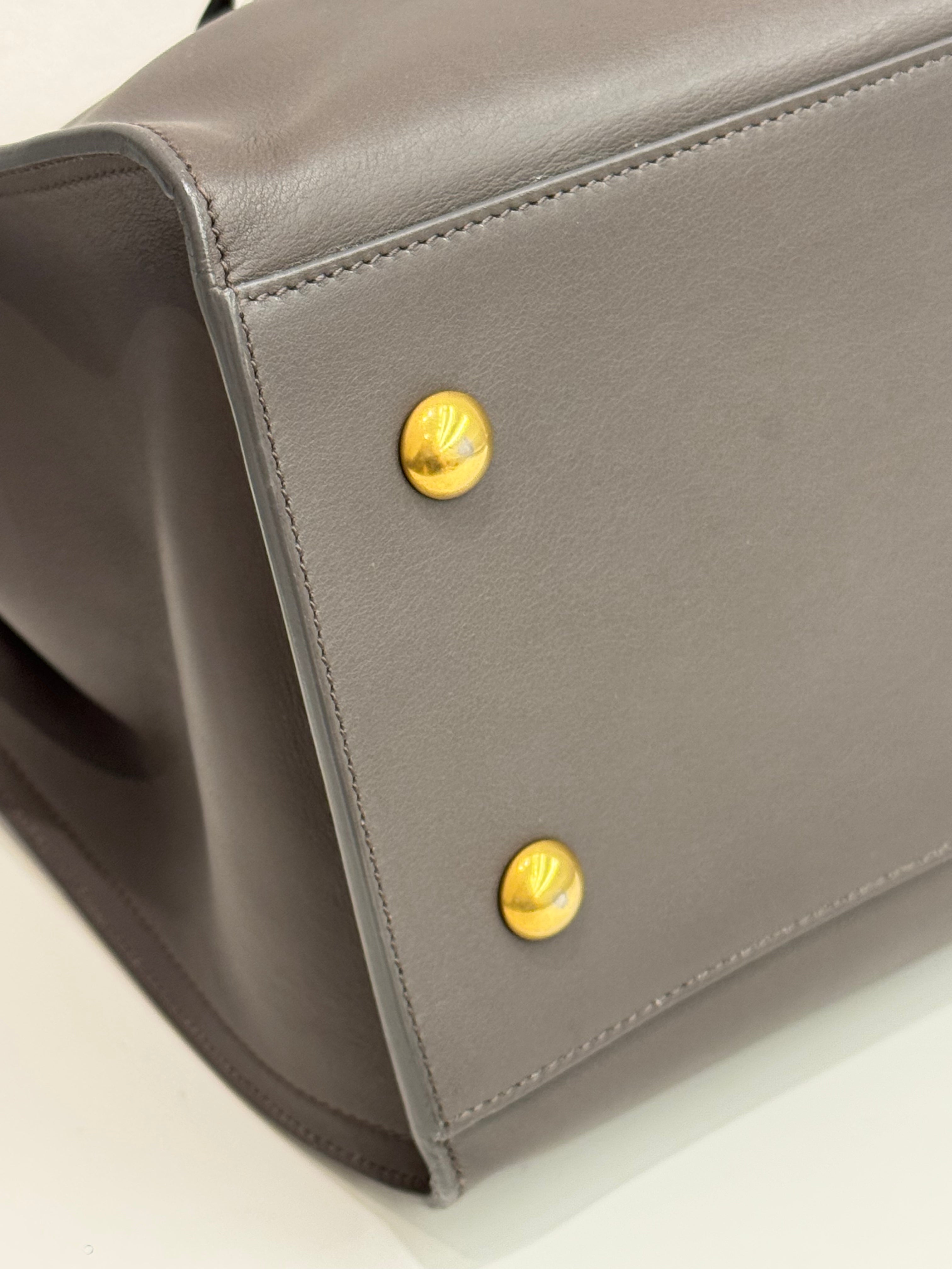 Saint Laurent Cabas Chyc Calfskin Leather Grey