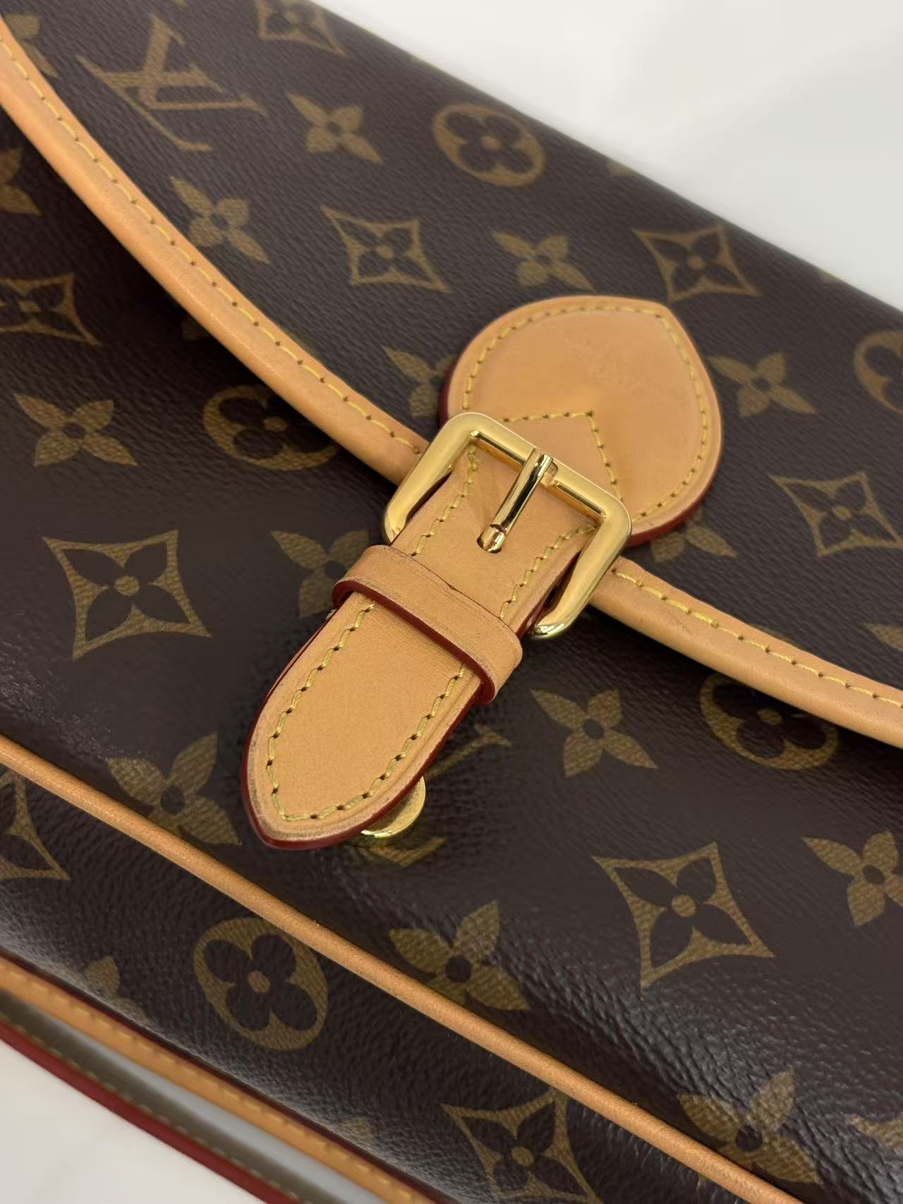 Louis Vuitton Diane Bag Monogram Canvas