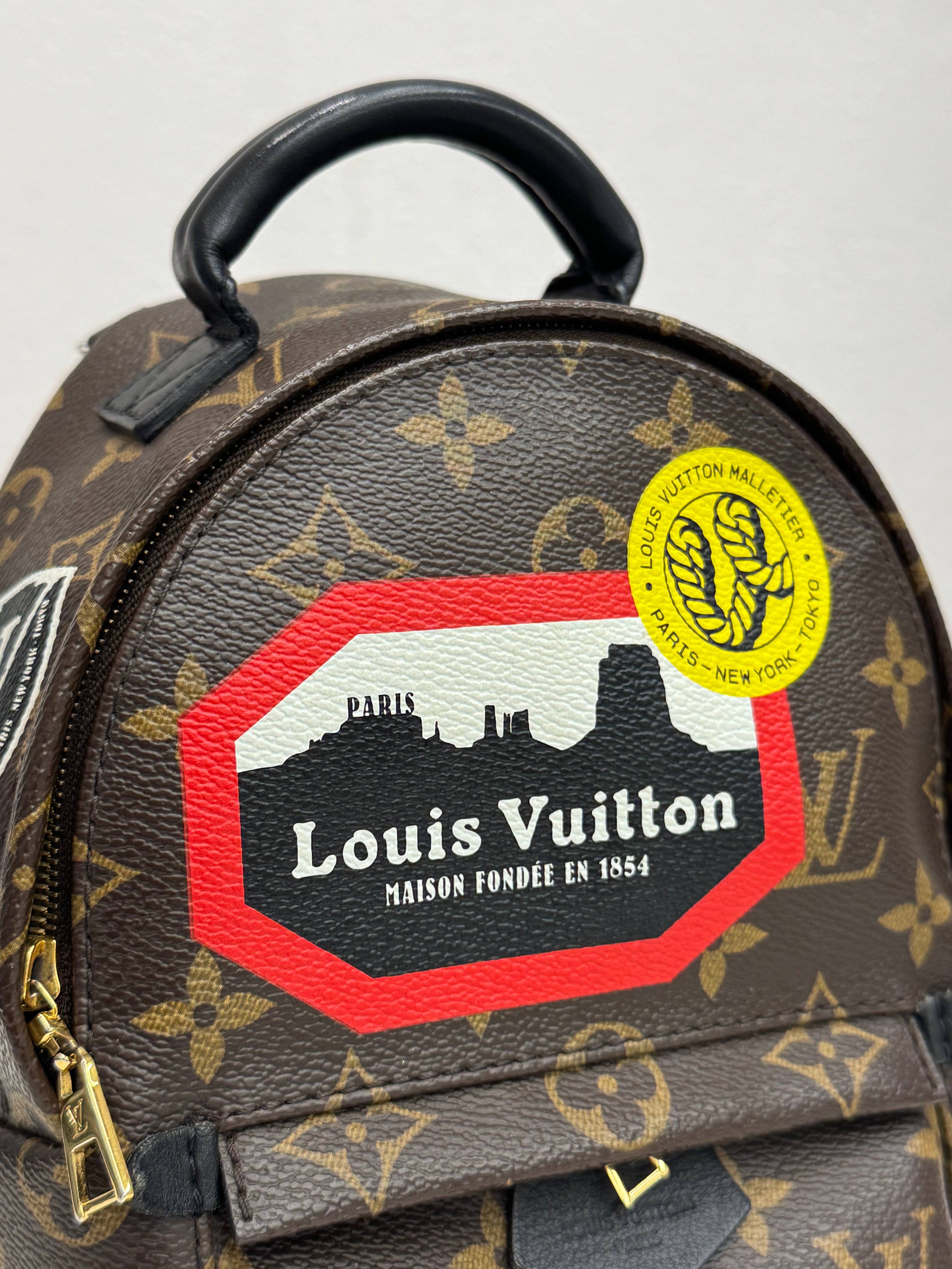 Louis Vuitton Mini Palm Springs Backpack World Tour Monogram