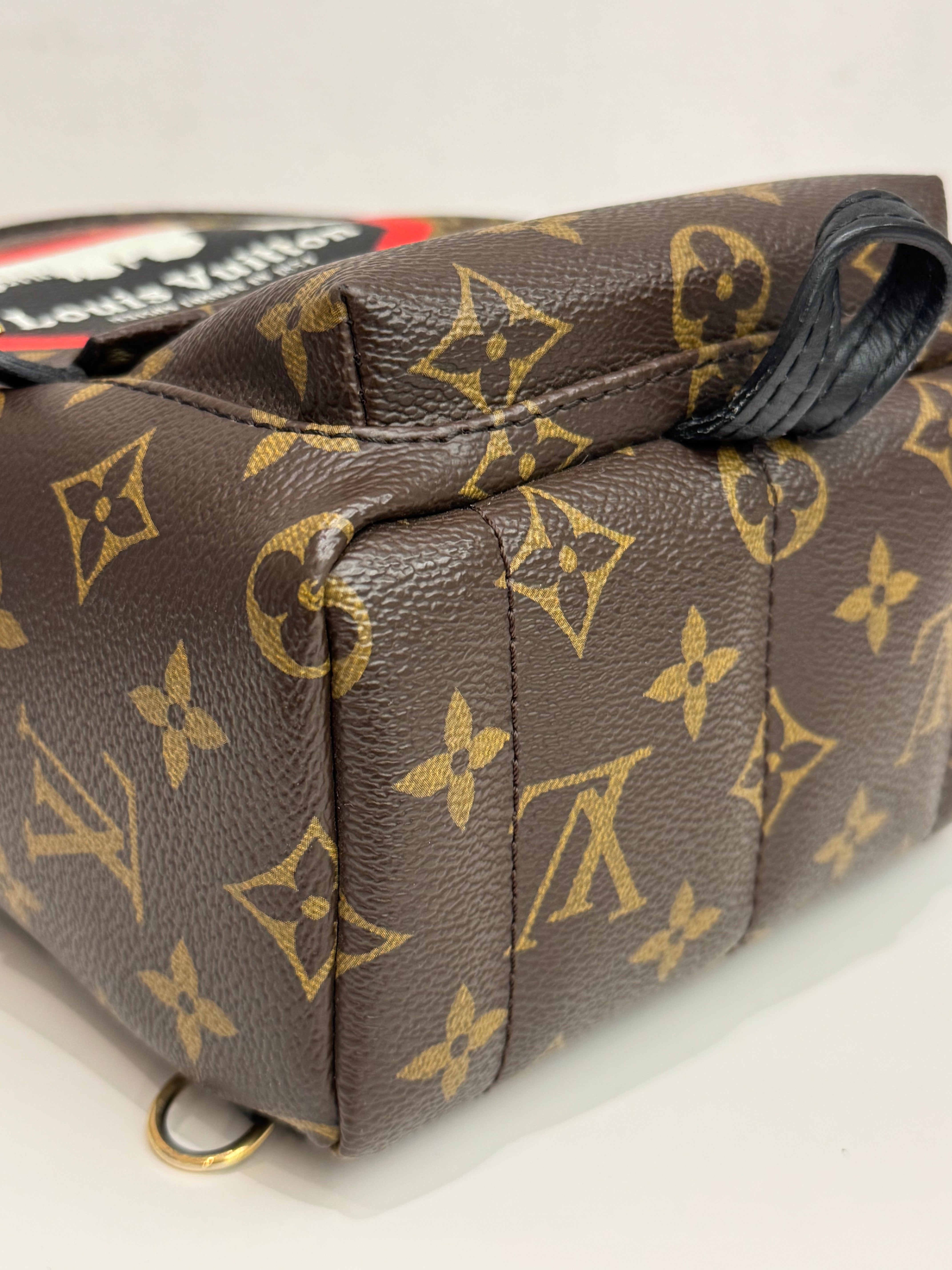 Louis Vuitton Mini Palm Springs Backpack World Tour Monogram