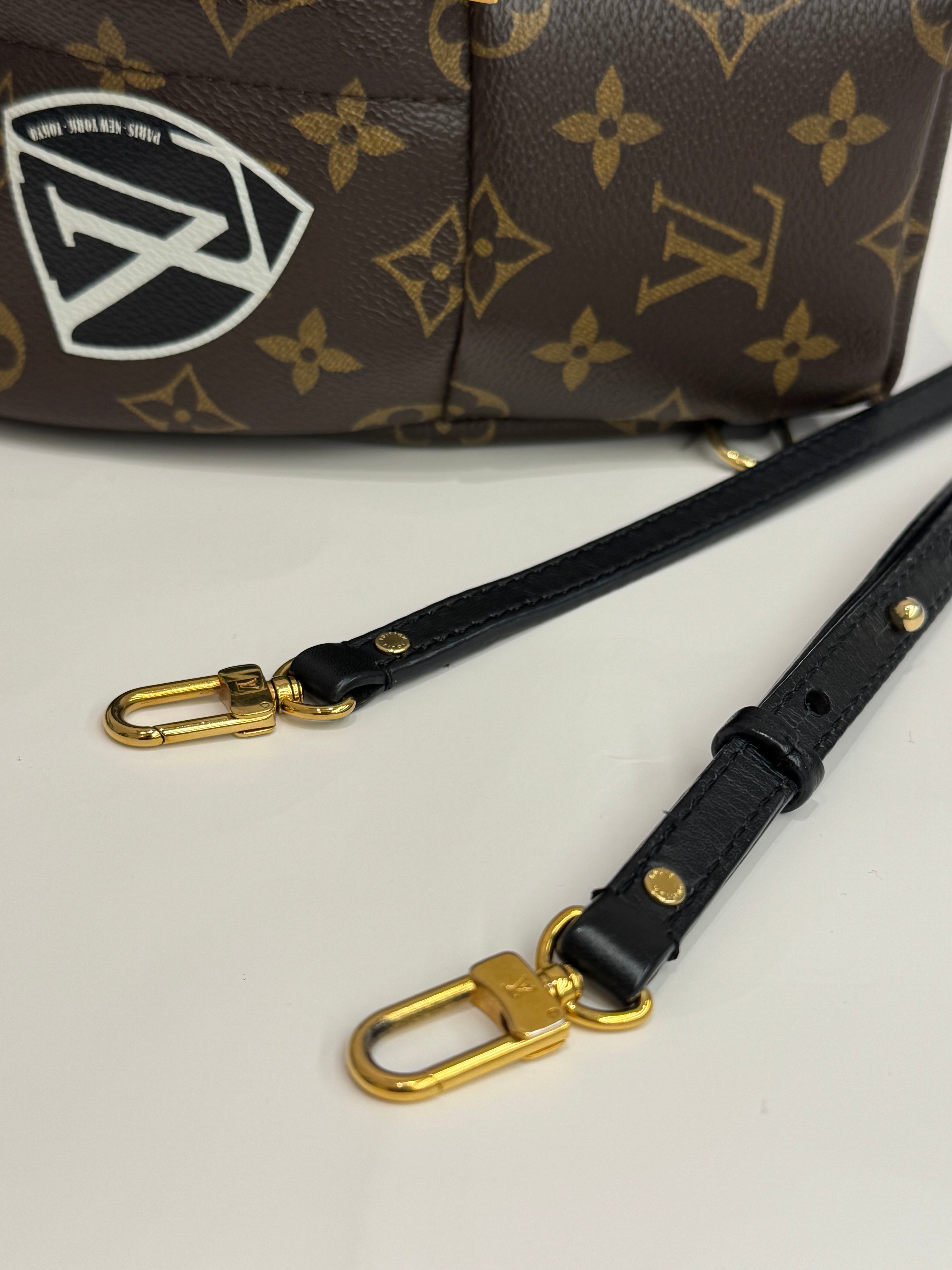 Louis Vuitton Mini Palm Springs Backpack World Tour Monogram