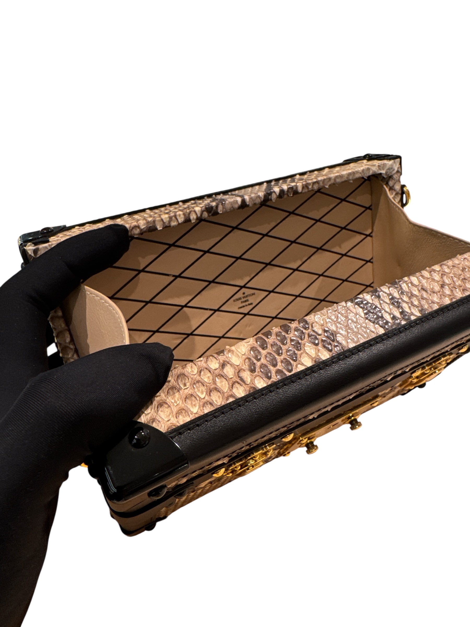 Louis Vuitton Petite Malle Python