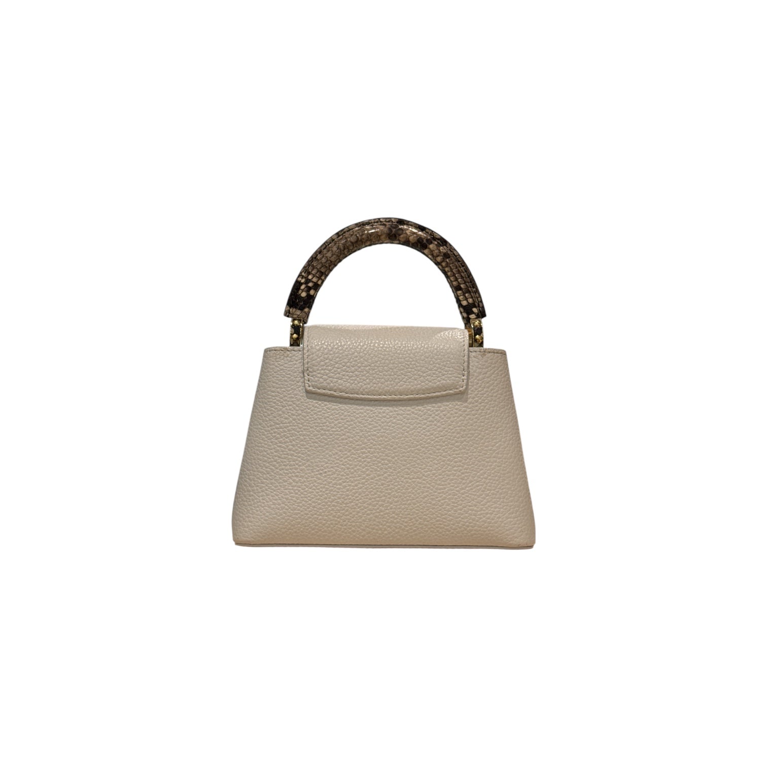 Louis Vuitton Mini Capucines with Python Handle